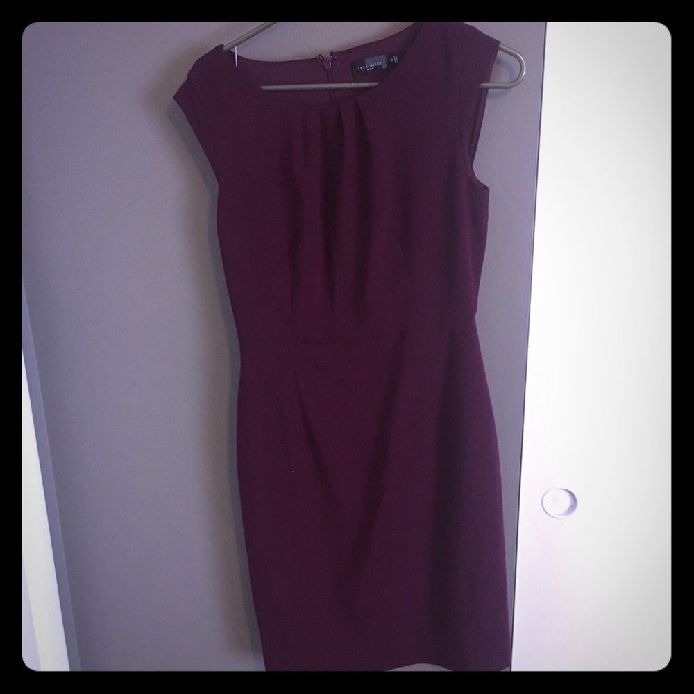 The Limited Dress